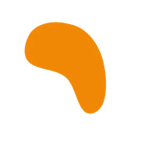 LP Company color styling element