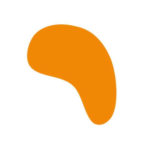 LP Company color styling element