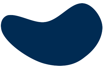 LP Company color style element