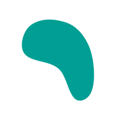 LP Company color styling element